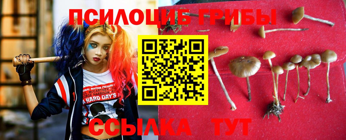 Псилоцибиновые грибы прущие грибы Электрогорск