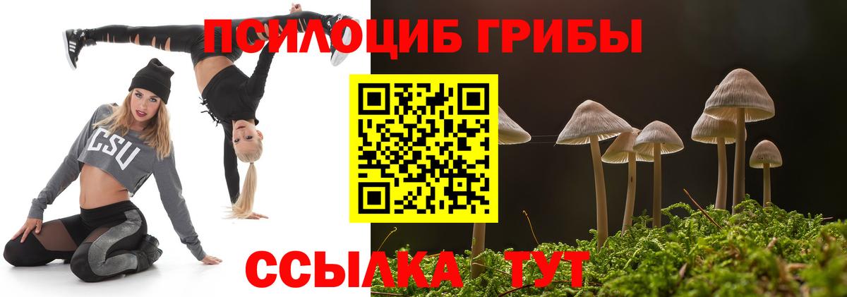 Электрогорск  Галлюциногенные грибы мицелий  Вход с VPN  Галлюциногенные грибы Psilocybine cubensis 